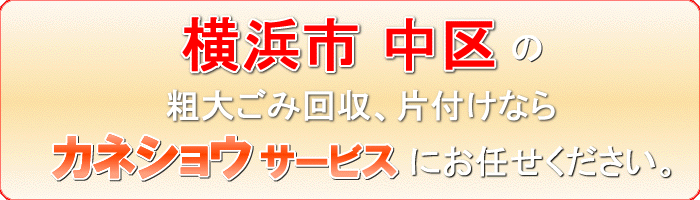 横浜市中区の布団乾燥機（温風ふとん乾燥機）捨てるならカネショウサービス